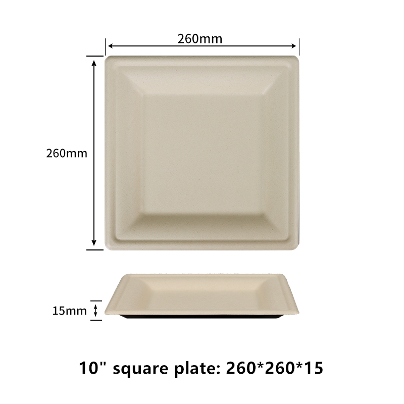 Platos de papel cuadrados 100% compostables de 10 pulgadas, sin PFAS, certificados BPI, resistentes, ecológicos, biodegradables, platos de cena de bagazo