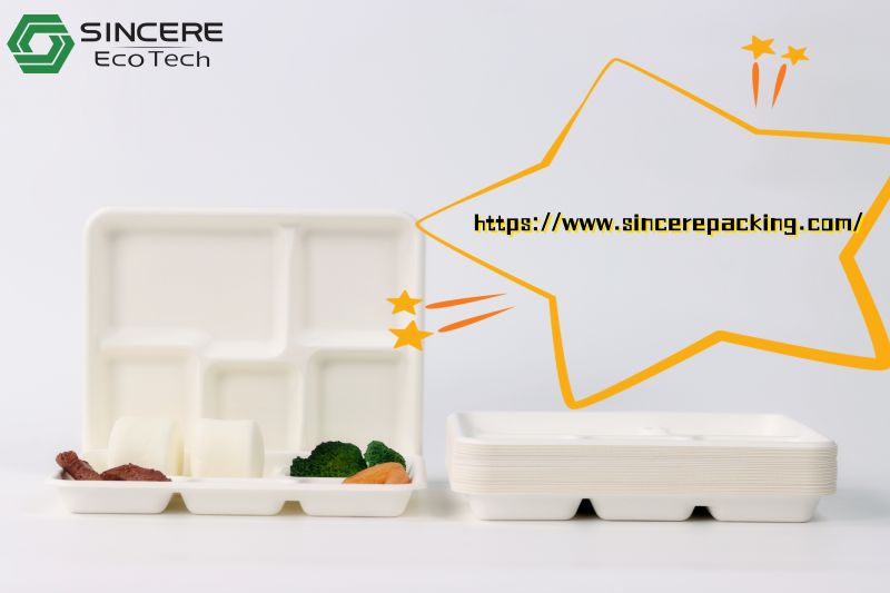 Sugarcane Bagasse Tableware Market Shows Promising Growth, Projected to Reach $356.7 Million by 2030