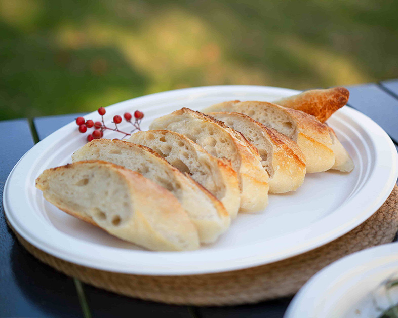 Innovación sostenible en la mesa: Vajilla biodegradable de pulpa de caña de azúcar