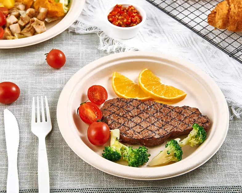 “From Waste to Resource: Closed-Loop Production of Bagasse Tableware”