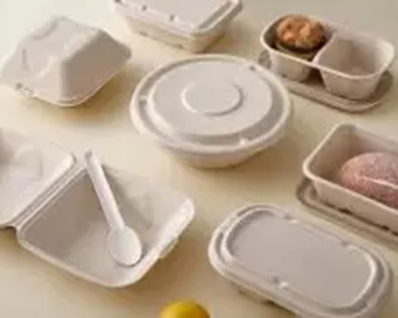Plato biodegradable de pulpa de caña: una revolución sostenible en vajillas