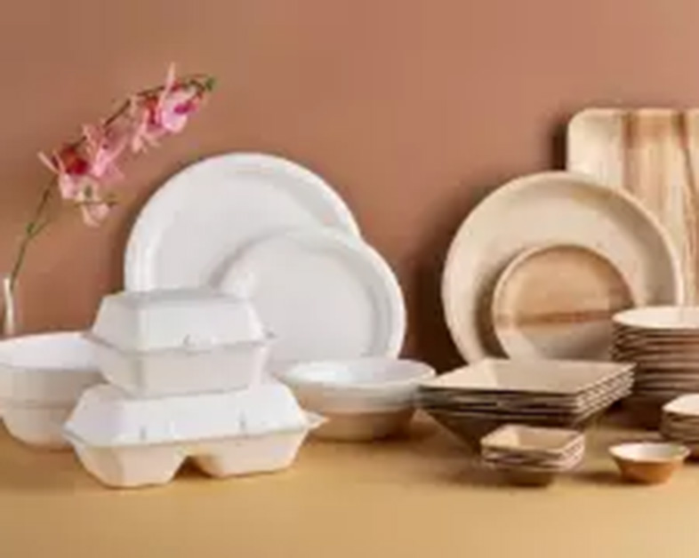 Sea ecológico con alternativas ecológicas a los envases de plástico y espuma