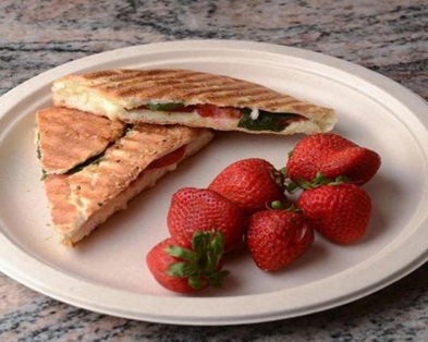 EU Raises Per Capita Plastic Packaging Tax: Biodegradable Bagasse Tableware Becomes European Importers' Top Choice
